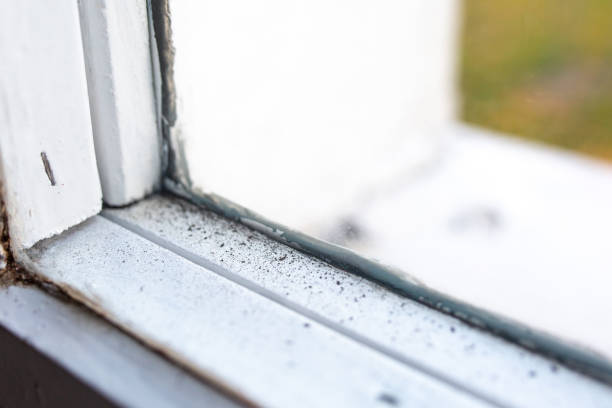 Best Dehumidification Services  in St Vincent College, PA