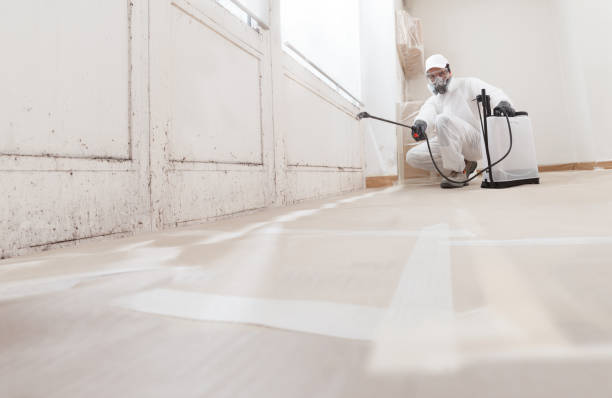 Best Mold Odor Removal Services  in St Vincent College, PA