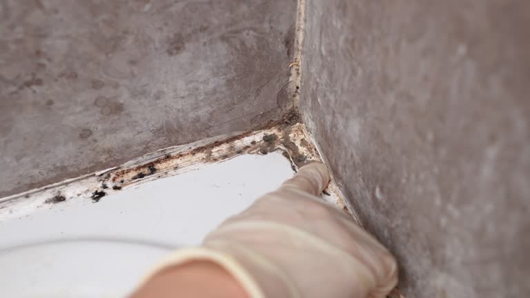 St Vincent College, PA Mold Removal Company